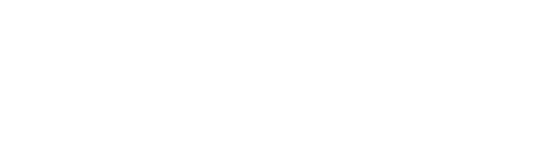 The Wig Hanger logo in white